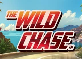 The Wild Chase